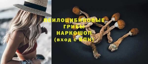 амф Пересвет