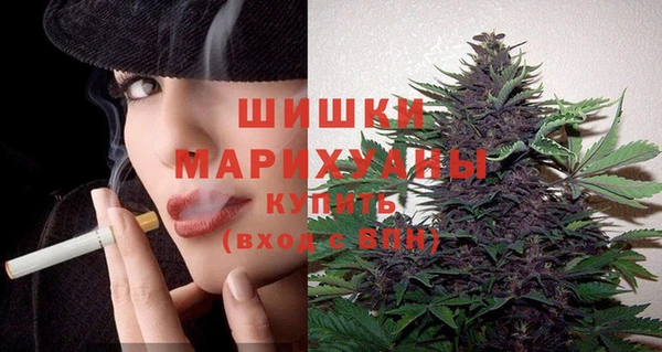 амф Пересвет