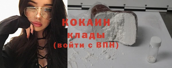 амф Пересвет
