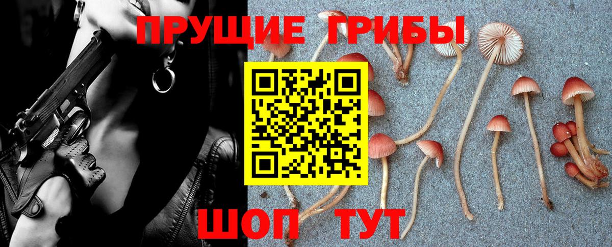 Псилоцибиновые грибы GOLDEN TEACHER  Галлюциногенные грибы MAGIC MUSHROOMS  Вход с VPN  Усть-Кут 